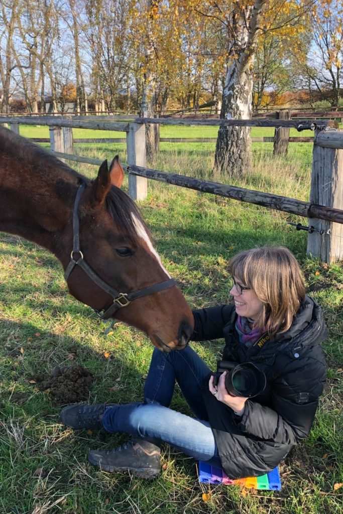 Tierfotografie: Pferd beugt sich zu auf dem Boden sitzender Fotografin